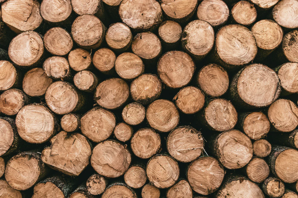 logs.webp